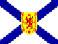 (NS FLAG SMALL)
